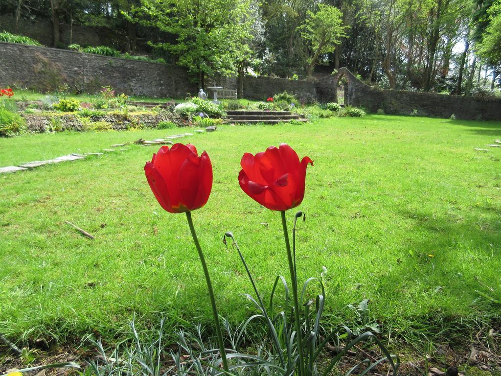 Bed and Breakfast Gellihaf House Blackwood  Esterno foto